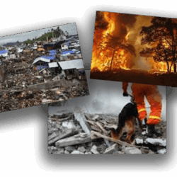 Collage of disaster pictures of flood, fire, and search and rescue.